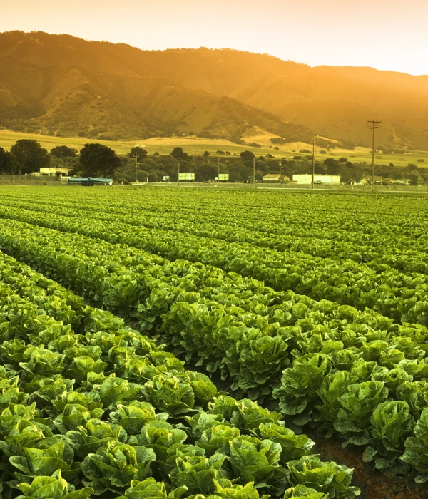 CALCIRAN for Agriculture Industry